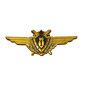 Знак классности летного состава Оригинал СССР