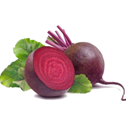 Свекла свежая