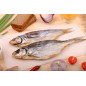 Fisch Vobla