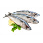 Скумбрия свежемороженая 435g