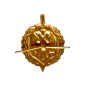 Boutons de revers FSB Russie