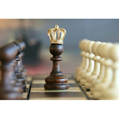 Schachclub Basel