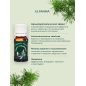 Huile essentielle de cèdre de l'Atlas naturelle 10 g Huile essentielle de cèdre de l'Atlas naturelle 10 g