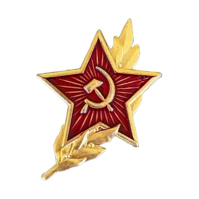 Звёздочка