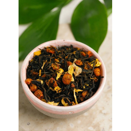 Ivan Tee mit Sanddorn 40gr