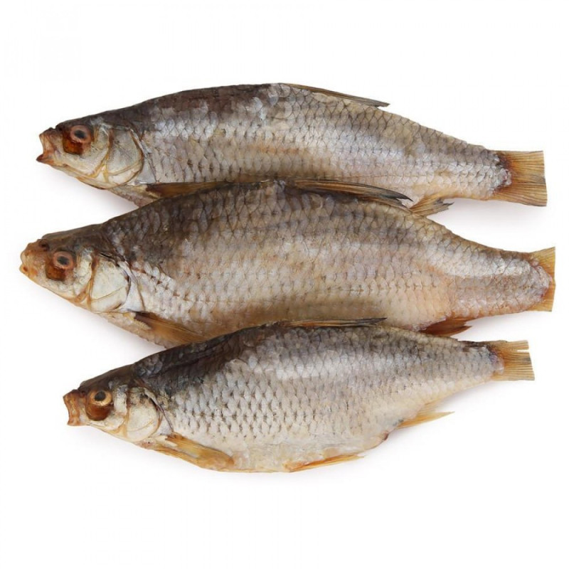 Scarafaggio con testa essiccato e salato