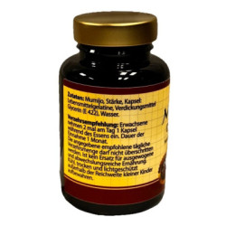 Mumijo Aktiv 60 Capsules