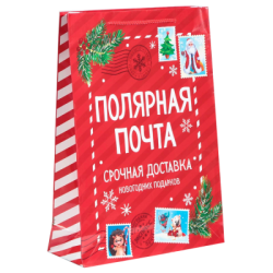 Пакет подарочный Новогодний Полярная почта