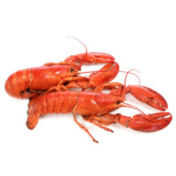 Лобстер вареный 350g