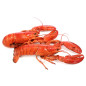 Homard cuit 350 g Homard cuit 350 g