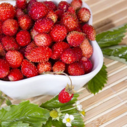Wild strawberry jam 370g