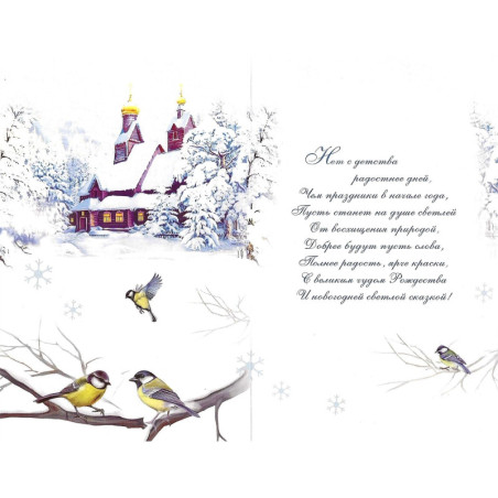 Merry Christmas and Happy New Year card