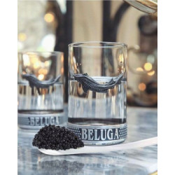 Coffret cadeau Vodka Beluga Alc. 40 % vol., 0,7 L