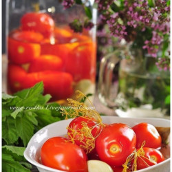 Hausgemachte klassische eingelegte Tomaten 670 ml