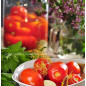 Pomodori sott'aceto classici fatti in casa 670 ml Pomodori sott'aceto classici fatti in casa 670 ml