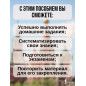 Русский язык. Все правила в схемах и таблицах Русский язык. Все правила в схемах и таблицах