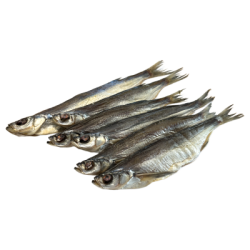 Grosser getrockneter Chekhon
