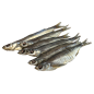 Grosser getrockneter Chekhon Grosser getrockneter Chekhon