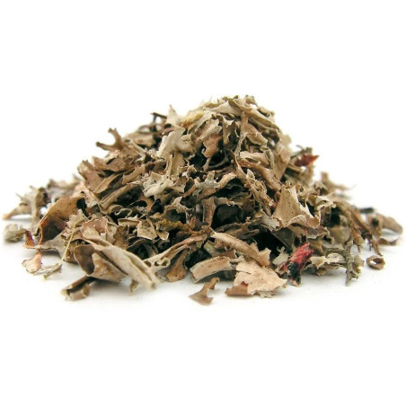 Jarabe de musgo islandés 100 ml