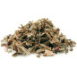 Sirop de mousse islandaise 100 ml Sirop de mousse islandaise 100 ml