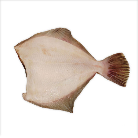 Gekühlte, ausgenommene Flunder, ohne Kopf, etwa 500 g