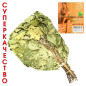 Oak twigs with mint for sauna approx. 55-60cm