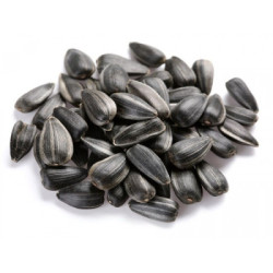 Семечки жареные От Мартина 500g